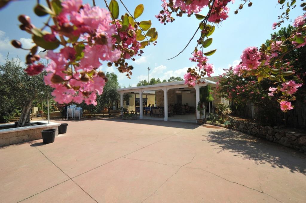 Campsite Torre Sabea